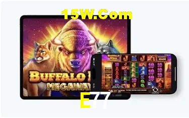 Login Seguro E77